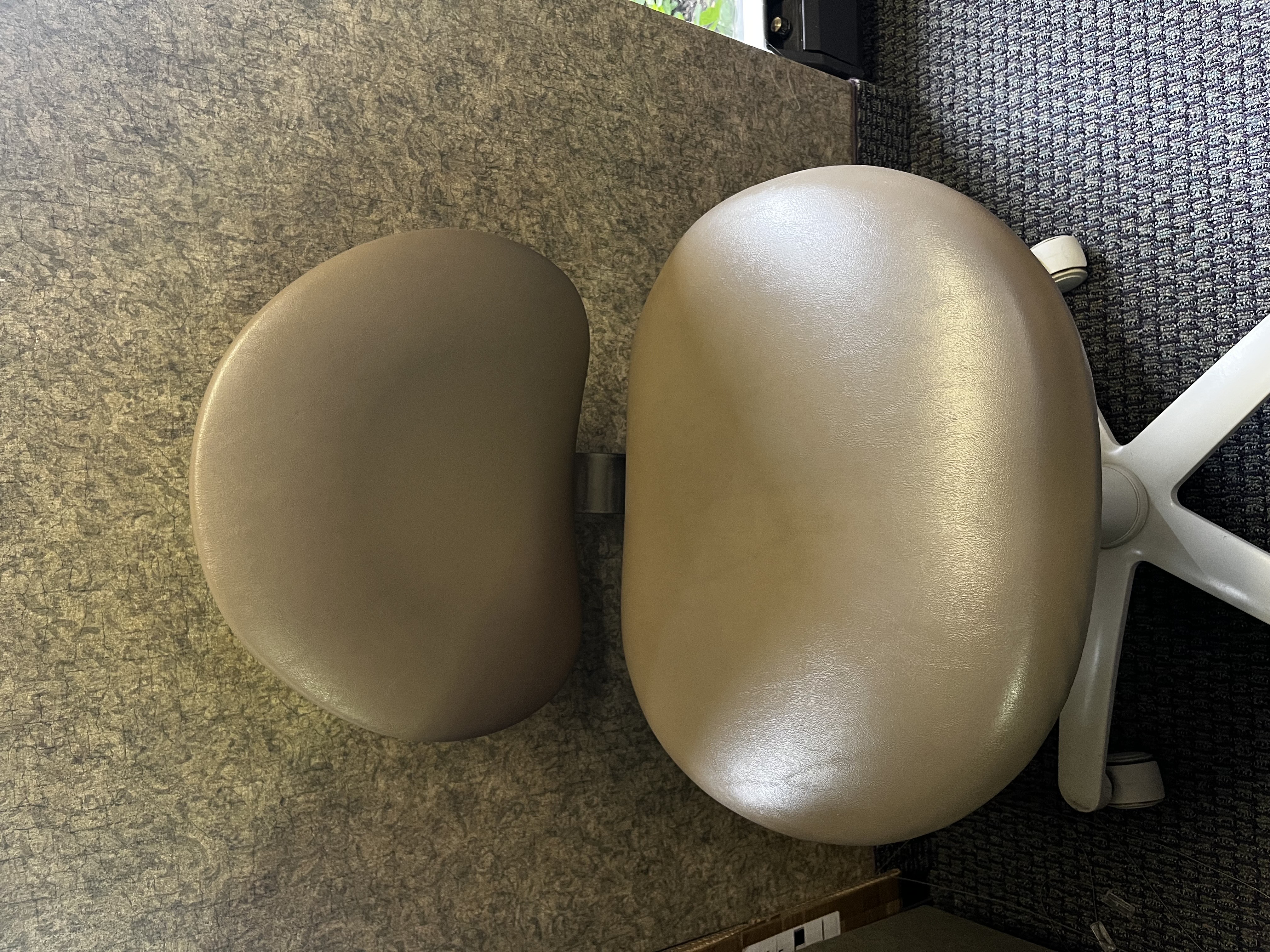 Medium Dental Chair